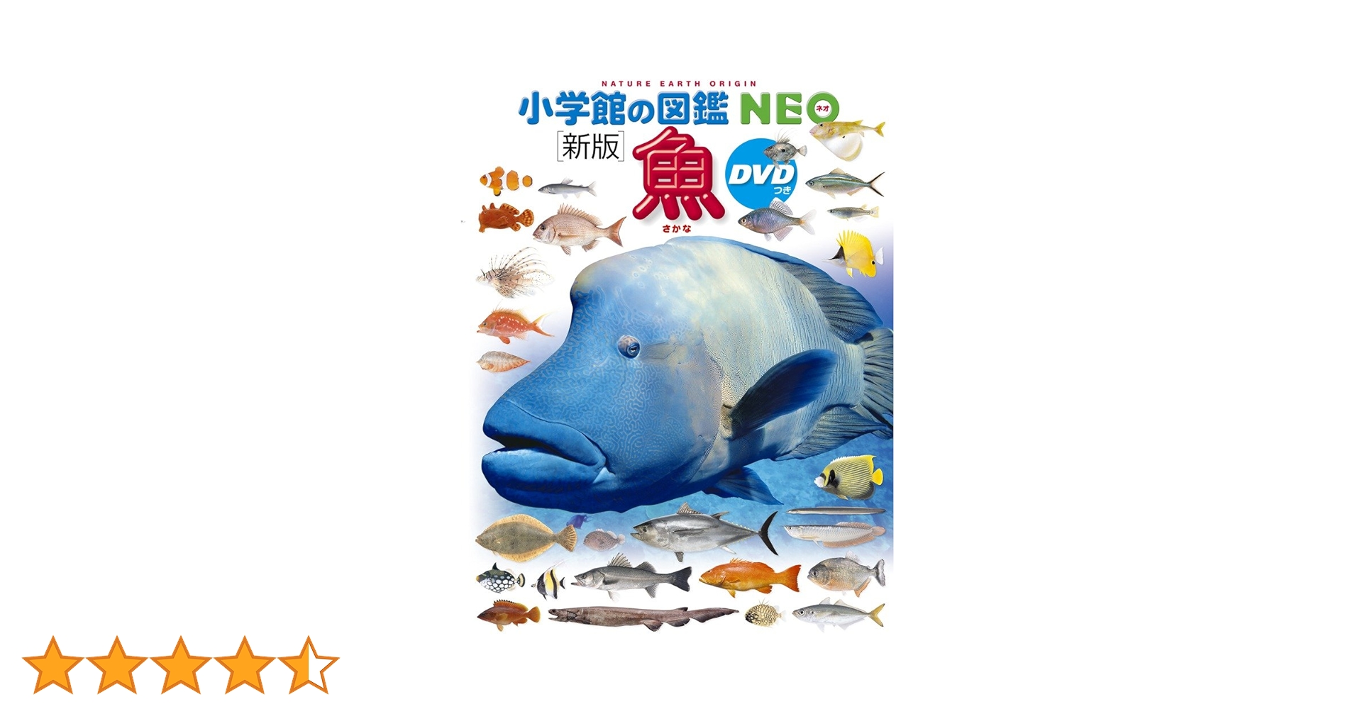 小学館の図鑑ネオ　新版 小学館の図鑑NEO〔新版〕動物 | 田中豊美, 三浦慎悟, 成島悦雄, 伊澤